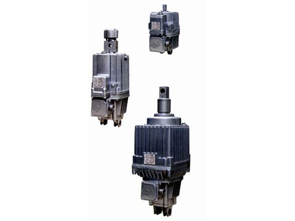 MYT2電力液壓(yā)推動器